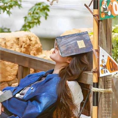 限制级战警：重返极限